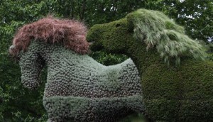 Photo courtesy of PHOTOPIA/Shaun Heffernan