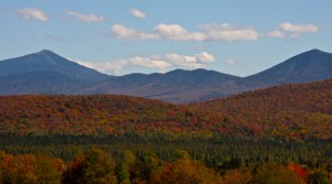 IMG_1747
