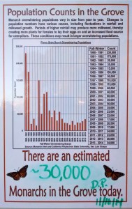 Monarch numbers have fallen precipitously!!