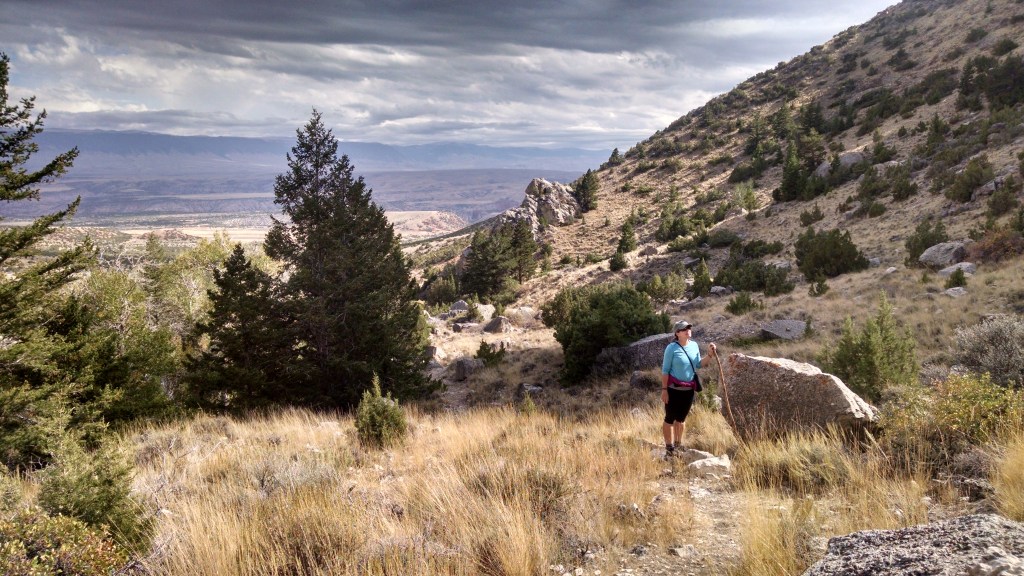 Layout Creek Avian Escort